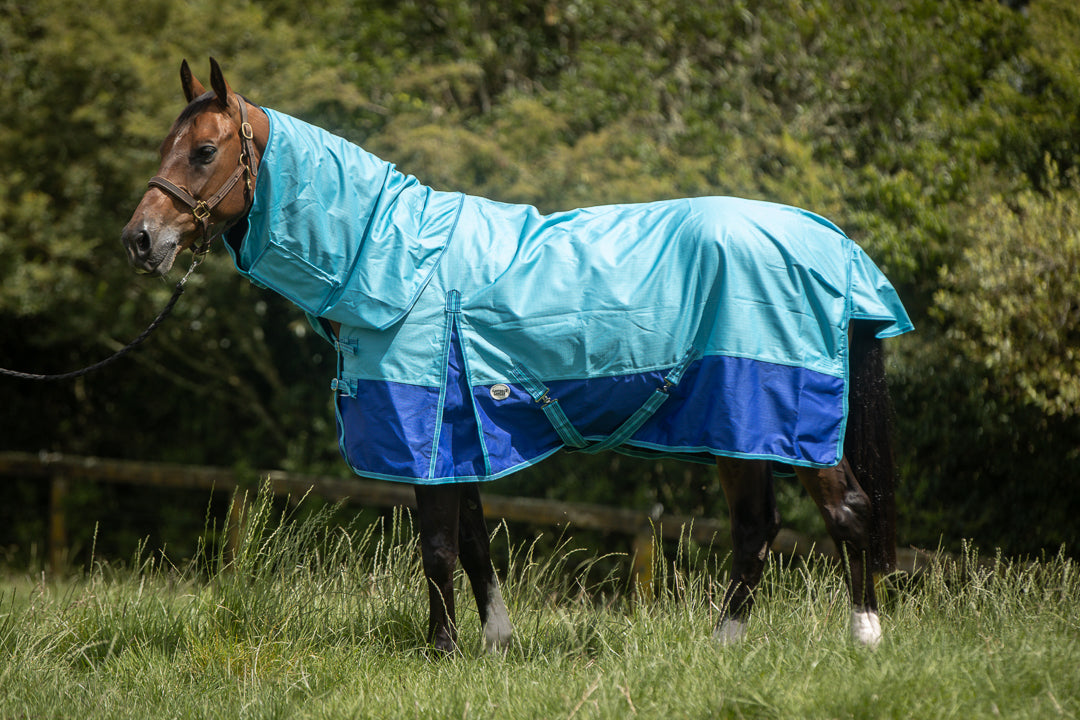 What's does tape sealed seams mean in horse rugs? Canter for Cancer NZ