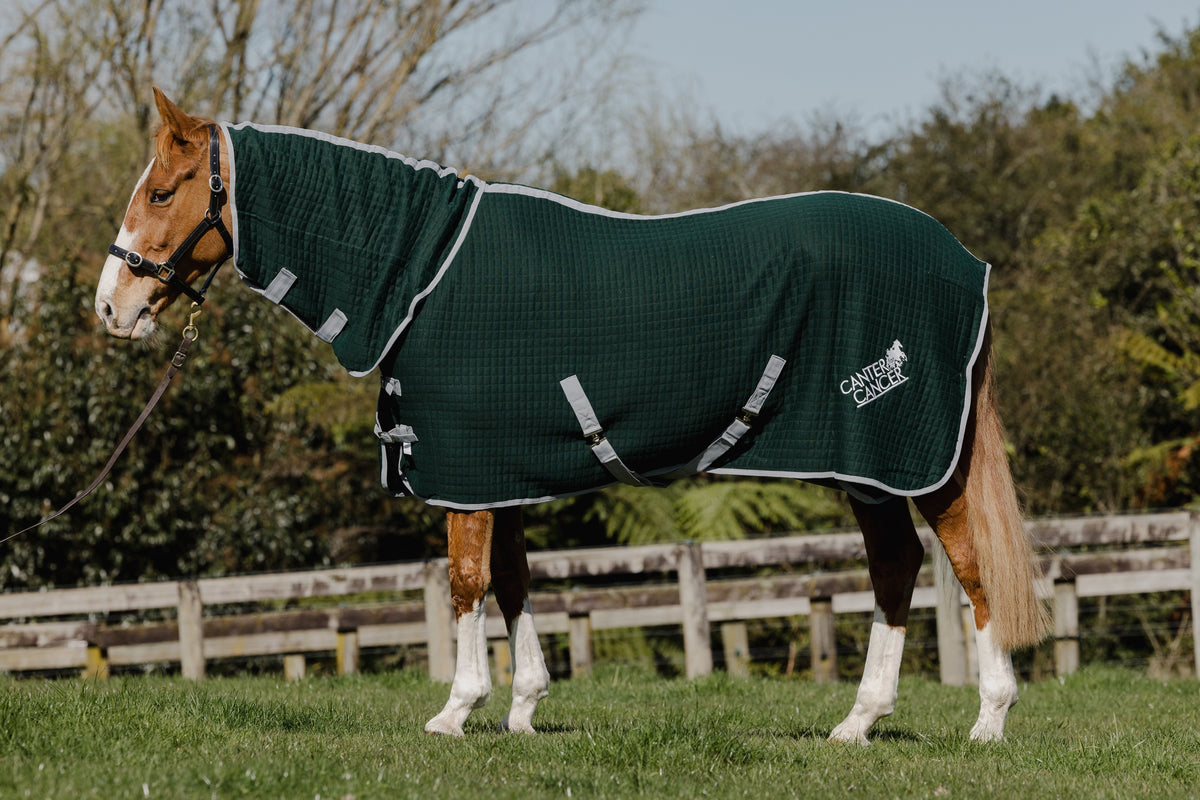 How do the Thermatex® WickAway rugs work? Canter for Cancer NZ