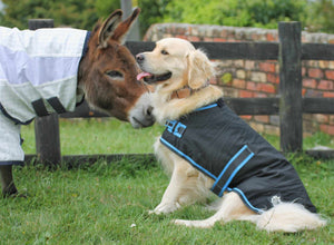 Oilskin Canvas Dog Coats - 18inch
