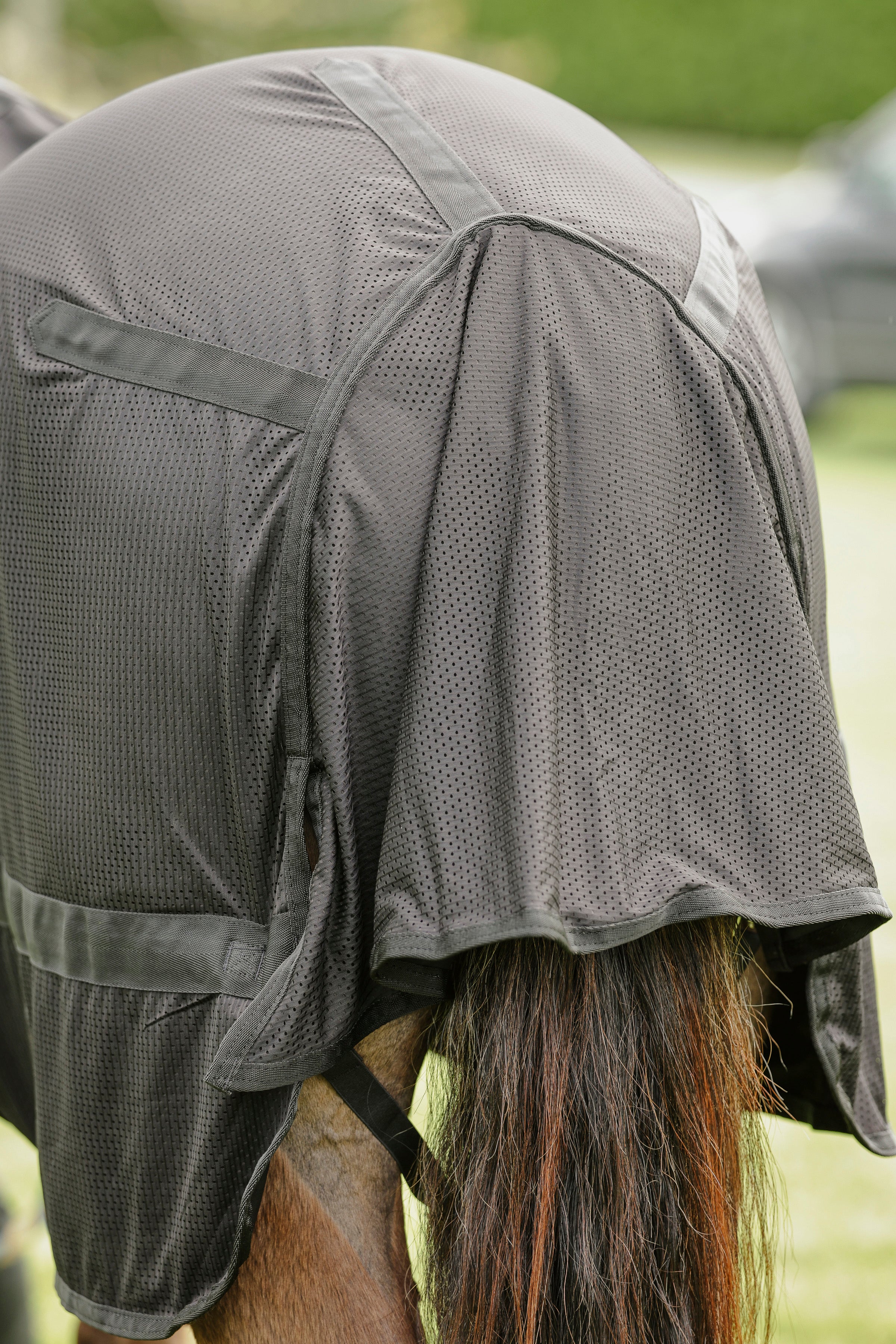 Therapy Rug Therapy Rug – Canter for Cancer NZ
