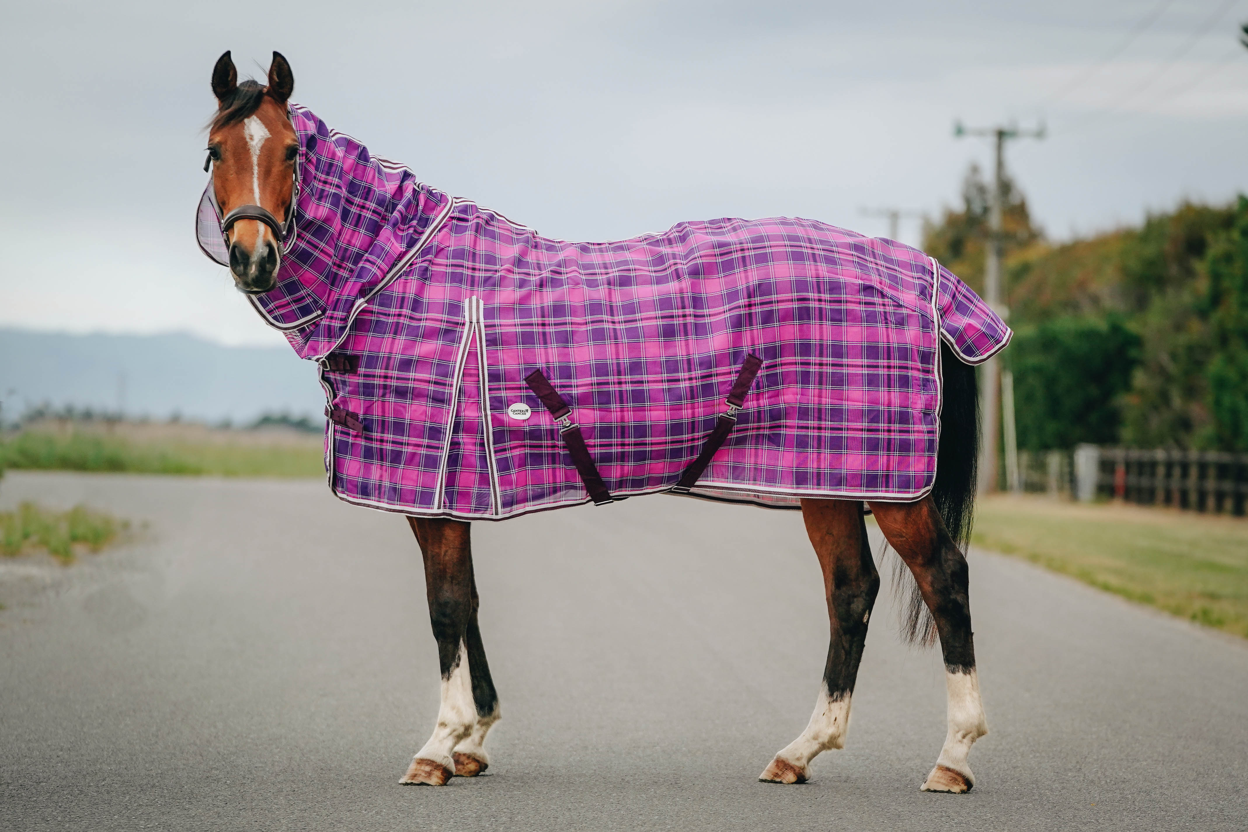 Mesh PVC Combo NZ 4.3 & 6.3 – Canter for Cancer NZ