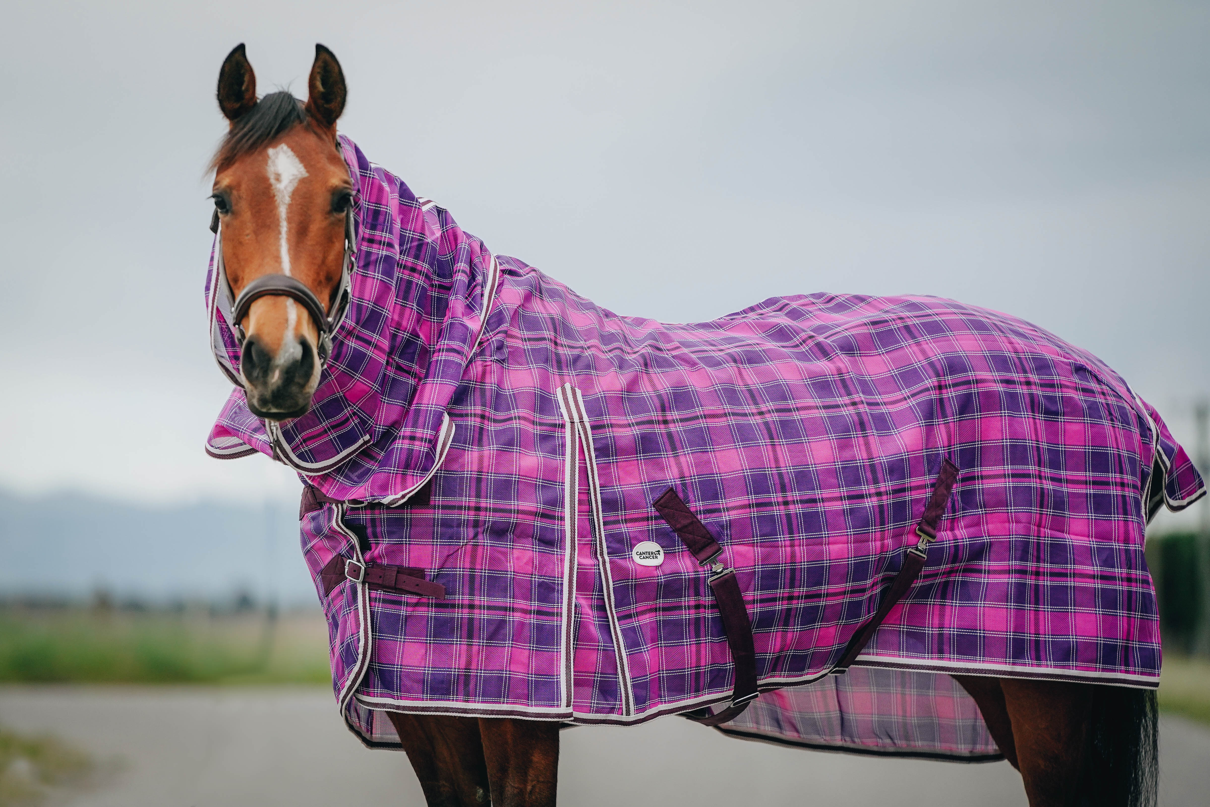 Mesh PVC Combo NZ 4.3 & 6.3 – Canter for Cancer NZ