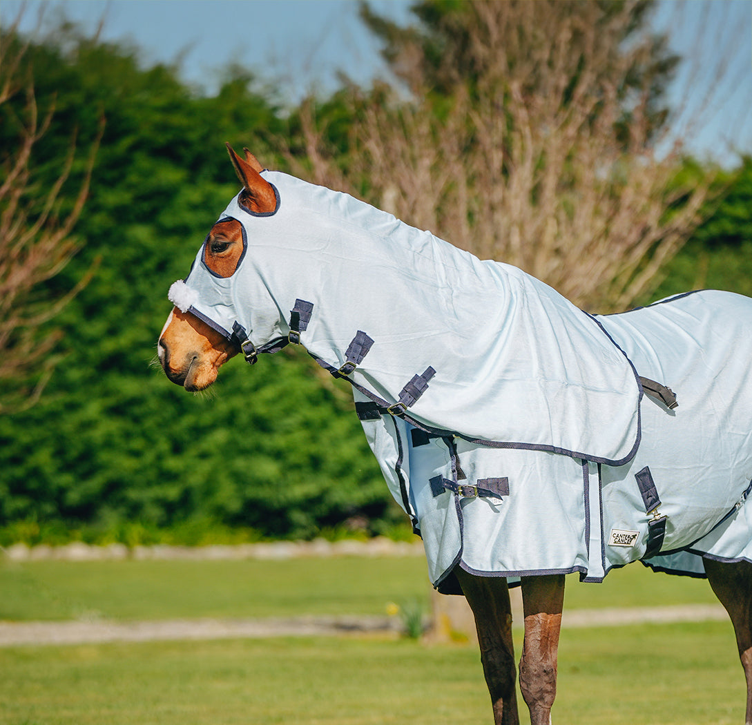 Baby Blue Mesh Show Set NZ 5.9 & 6.0 – Canter for Cancer NZ