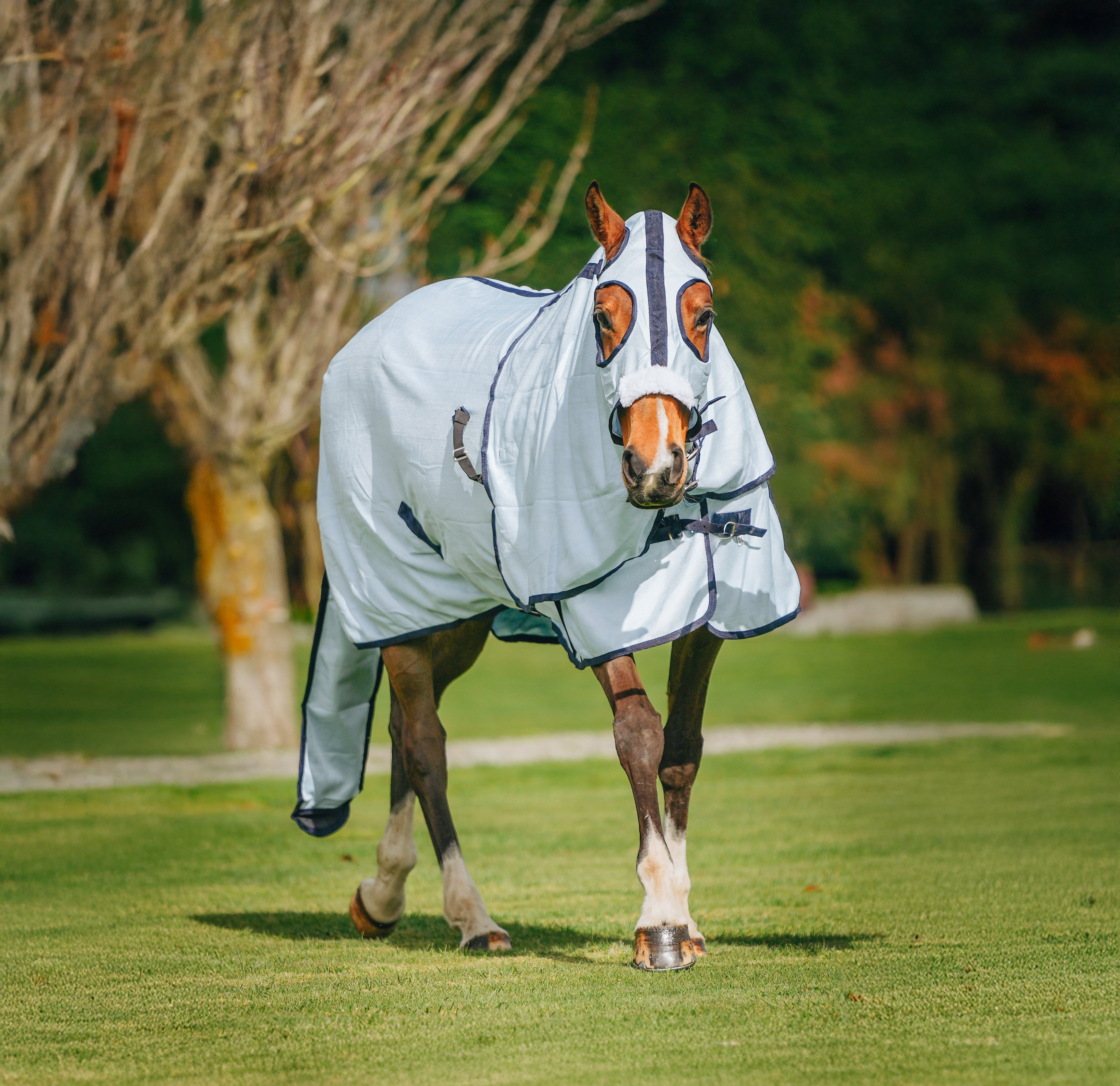 Baby Blue Mesh Show Set NZ 5.9 & 6.0 – Canter for Cancer NZ