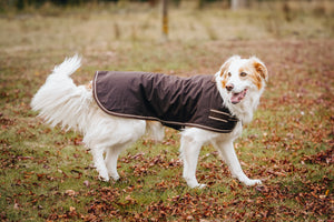 Oilskin Canvas Dog Coats - 18inch