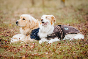 Oilskin Canvas Dog Coats - 18inch