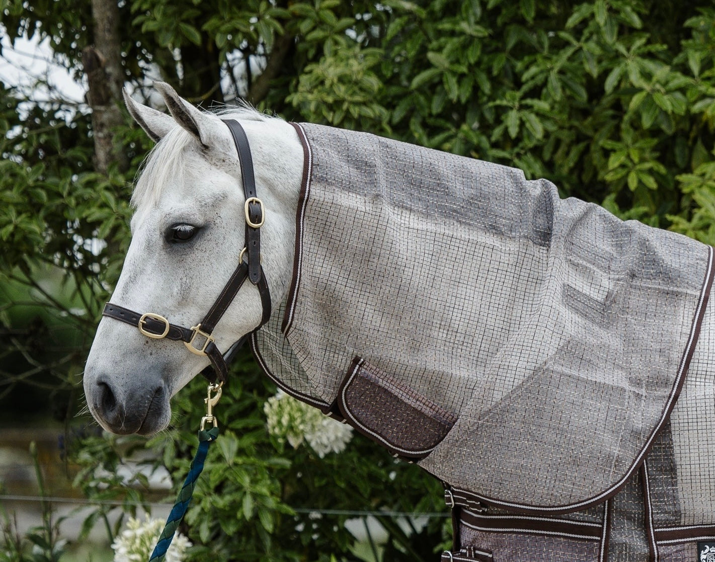 Spare Neck Rugs – NZ 4.3 – 5.6 – Canter for Cancer NZ