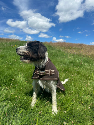 Oilskin Canvas Dog Coats - 18inch