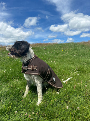 Oilskin Canvas Dog Coats - 18inch