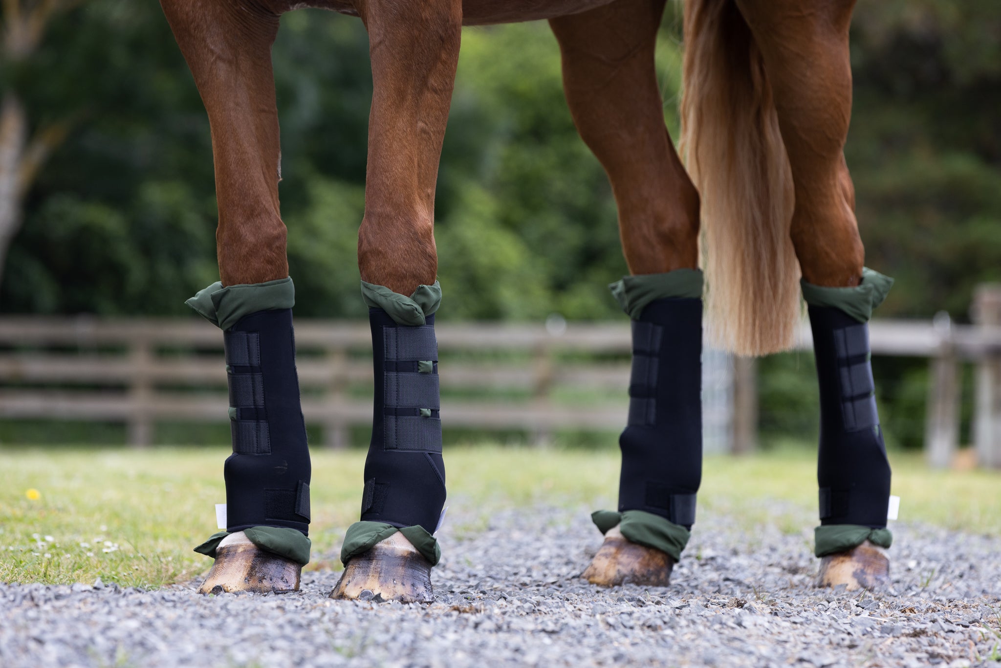 Stable Boots – Canter for Cancer NZ